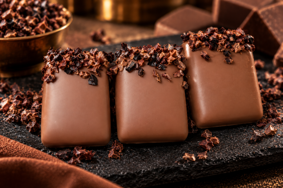 Chocolat Praliné Tonka Lait 100gr