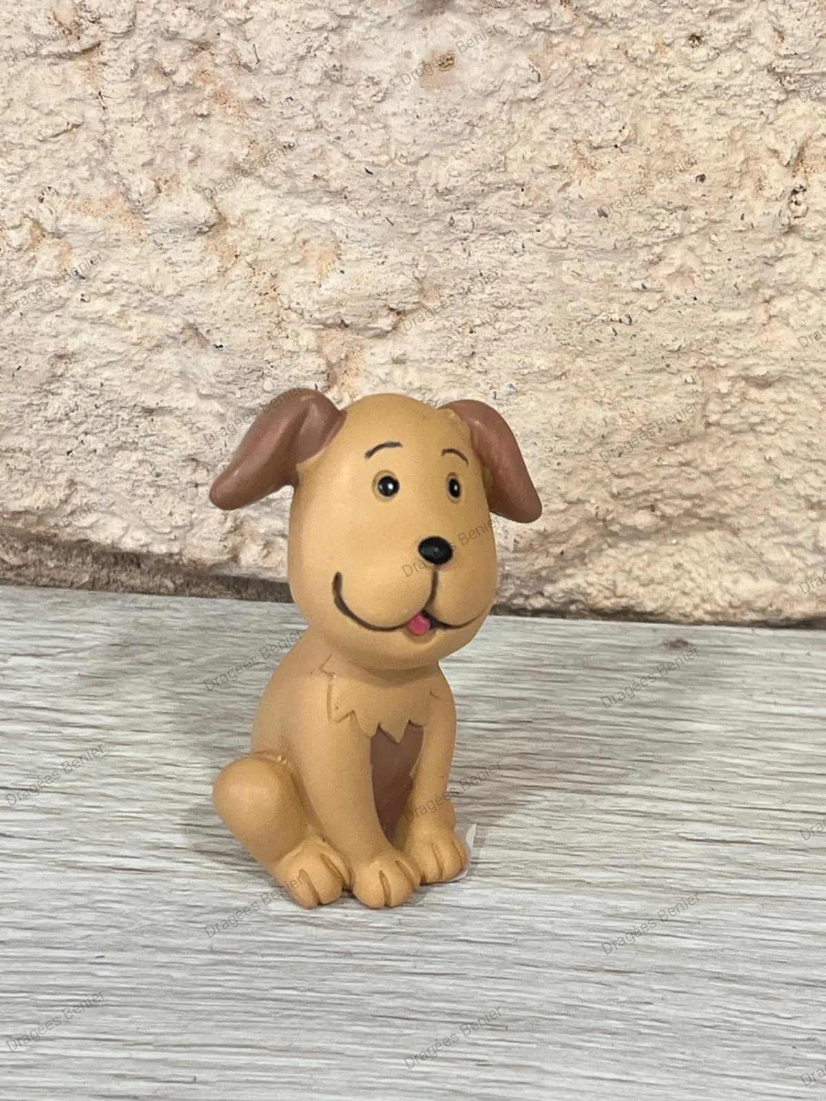 chien