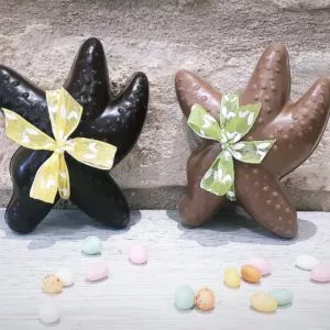 Étoile de mer en Noir et Lait